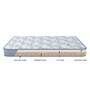 Posture 6 Inch Rebonded Foam Queen Size Mattress