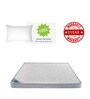 Posture Care Queen Bed Orthopedic & Memory Foam Mattress 78x60x6 Inch