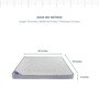 Posture Care Queen Bed Orthopedic & Memory Foam Mattress 78x60x6 Inch