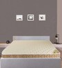 Posture Support Queen Bed 72x48x7.5 Inch Bonnell Spring Mattress