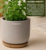 (1Pc) Grey Terracotta Plant Pot