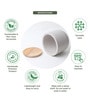 (1Pc) Grey Terracotta Plant Pot