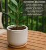 (1Pc) Grey Terracotta Plant Pot