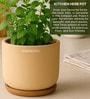 (1Pc) Beige Terracotta Plant Pot