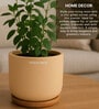 (1Pc) Beige Terracotta Plant Pot