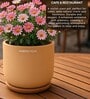 (1Pc) Beige Terracotta Plant Pot