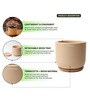(1Pc) Beige Terracotta Plant Pot
