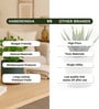 (1Pc) Dark Gray Terracotta Plant Pot