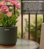 (1Pc) Dark Gray Terracotta Plant Pot