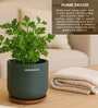 (1Pc) Dark Gray Terracotta Plant Pot