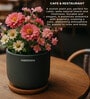 (1Pc) Dark Gray Terracotta Plant Pot