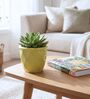 Light Green Ceramic Flower Pot