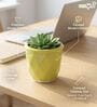 Light Green Ceramic Flower Pot
