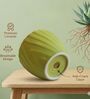 Light Green Ceramic 4-Inch Flower Pot
