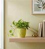 Light Green Ceramic 4-Inch Flower Pot