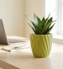 Light Green Ceramic 4-Inch Flower Pot