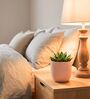 Lite Peach Ceramic Flower Pot