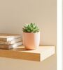 Lite Peach Ceramic Flower Pot