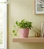 Pink Ceramic 4-Inch Flower Pot