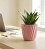 Pink Ceramic 4-Inch Flower Pot