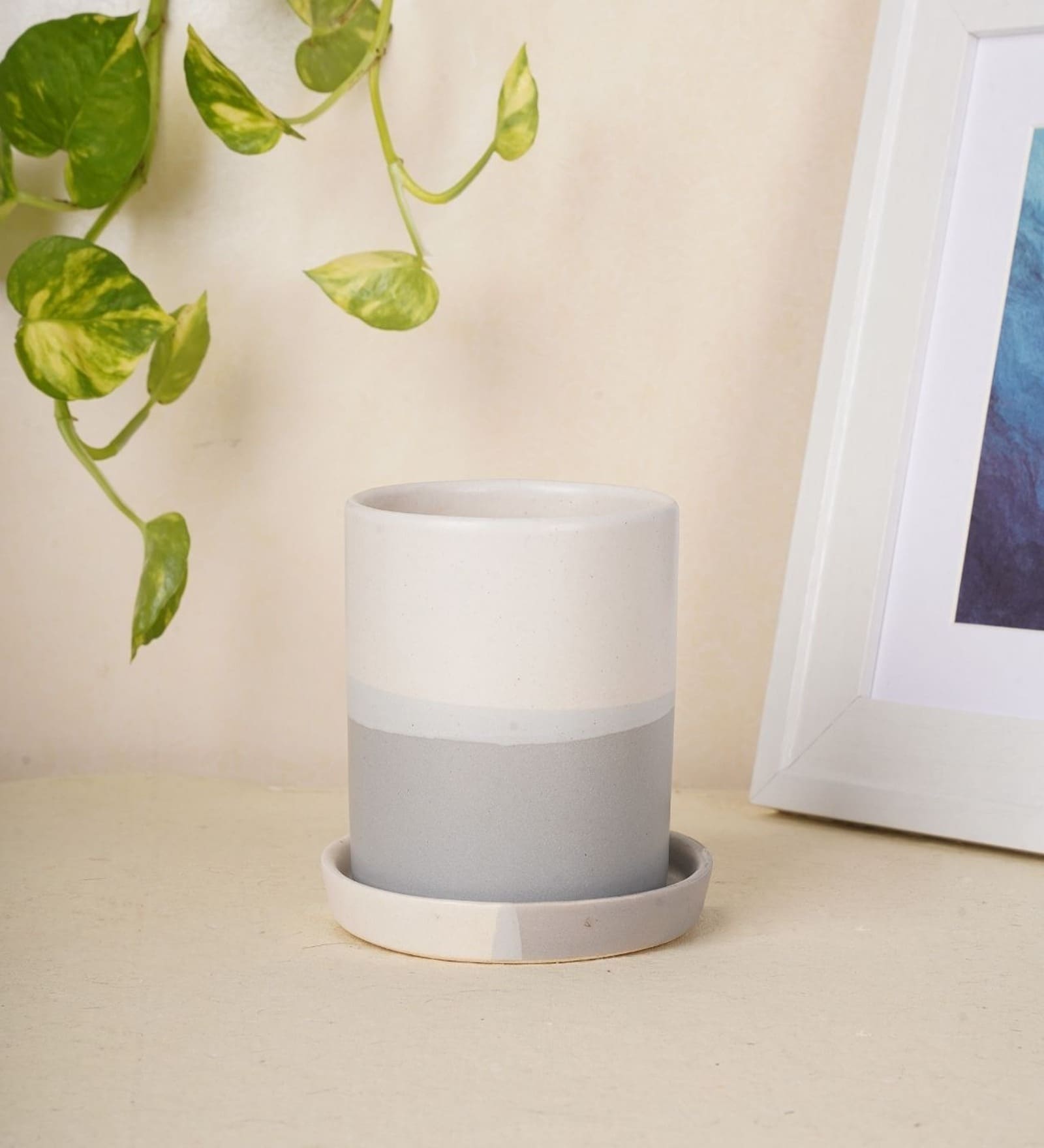 Premium Grey Ceramic Floor Planter