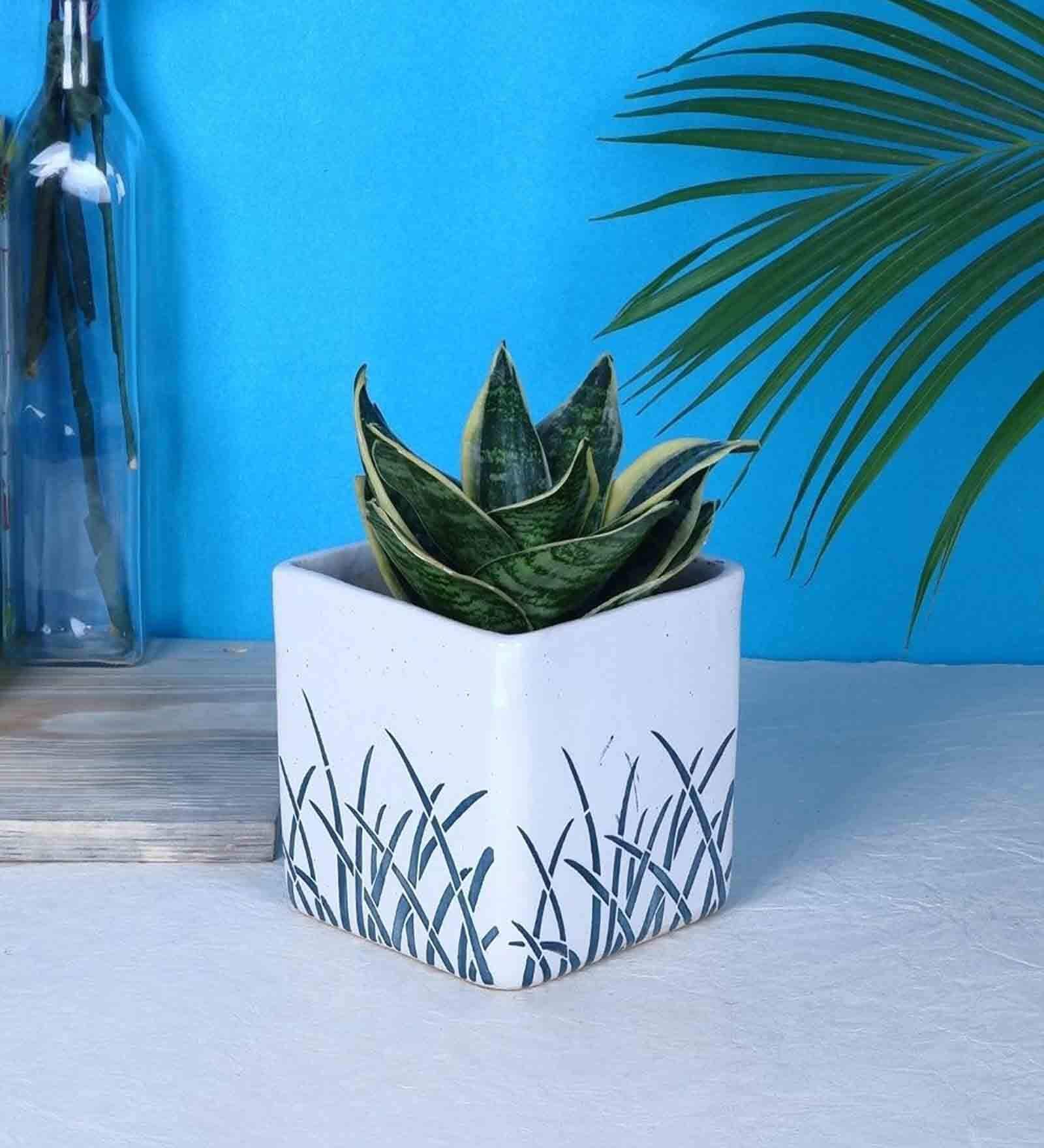 Premium Multicolour Ceramic Floor Planter