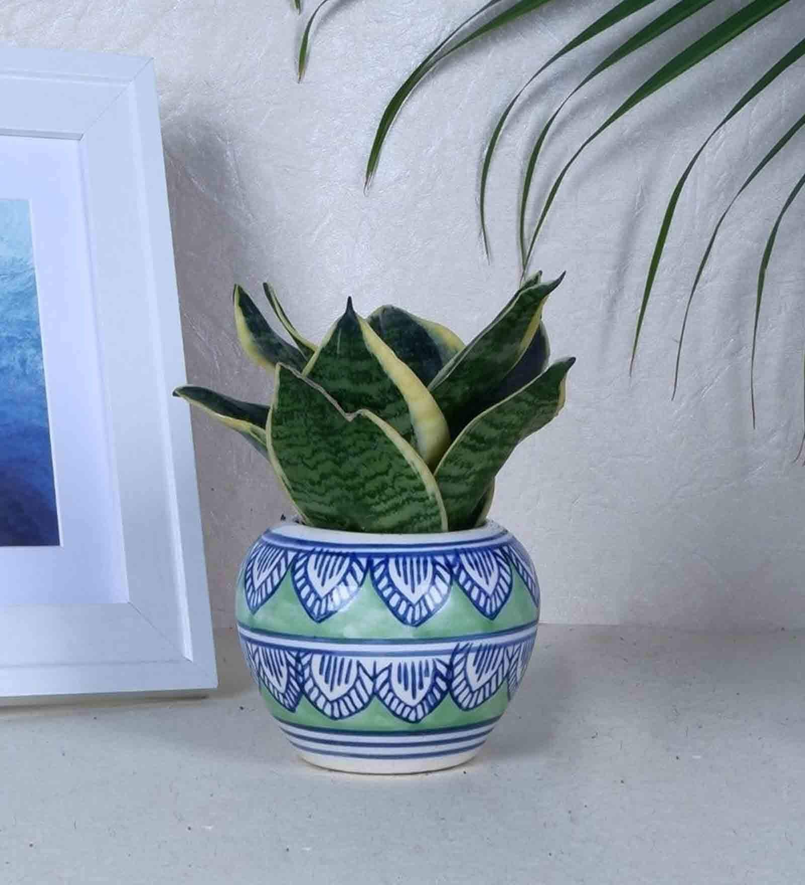 Blue and Green Premium Ceramic Desk Pot