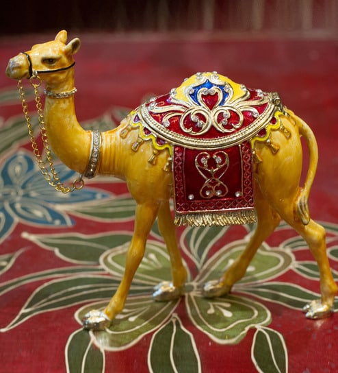  Camel,nari