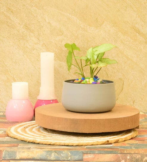 Preston Iron Grey Desk Pot