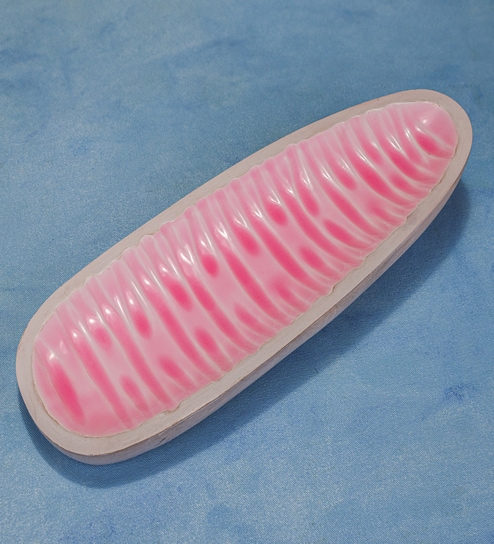 Pretty in Pink Mango Wood Serving Plate with Enamel
