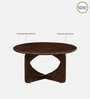 Praha Mango Wood Coffee Table In Walnut Finish