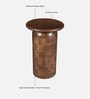 Praha Mango Wood End Table In Walnut Finish