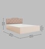 Prajna  Queen Size Upholstered Bed In Beige Colour & White Colour With Box Storage