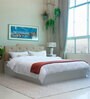 Prajna  Queen Size Upholstered Bed In Beige Colour & White Colour With Box Storage