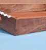 Prasadh Serving Tray (Medium)
