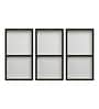 Preety Flower Multicolour Canvas (Set of 3) Art Panels