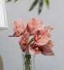 Premium Artificial Orchid Flower Bunch  with 6 Flower Heads (Pink)