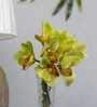 Premium Artificial Orchid Flower Bunch with 6 Flower Heads(Green) Premium Artificial Orchid Flower Bunch with 6 Flower Heads(Green)