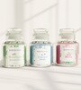Set Of 3 Multicolor Wax Glass Jar Scented Candle For Relaxation And Stylish Ambiance