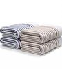 White With Brown & Blue Stripes 100% Cotton 400 Gsm Hand Towels Pack Of 4