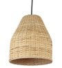 Premium Handmade Rattan Cane Pendant Hanging Light (Black & Olive Green)
