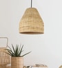 Premium Handmade Rattan Cane Pendant Hanging Light (Black & Olive Green)