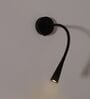 Premium Matte Black LED Wall Light with Flexible Gooseneck Arm