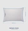 Premium Micro 17 x 27 Inch Microfibre Sleeping Pillow (Pack of 2)