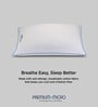 Premium Micro 17 x 27 Inch Microfibre Sleeping Pillow (Pack of 4)