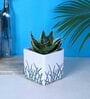 Premium Multicolour Ceramic Floor Planter