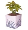 Premium Multicolour Ceramic Floor Planter