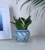 Blue and Green Premium Ceramic Desk Pot