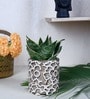 Premium Multicolour Ceramic Floor Planter