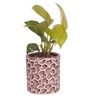 Premium Multicolour Ceramic Floor Planter